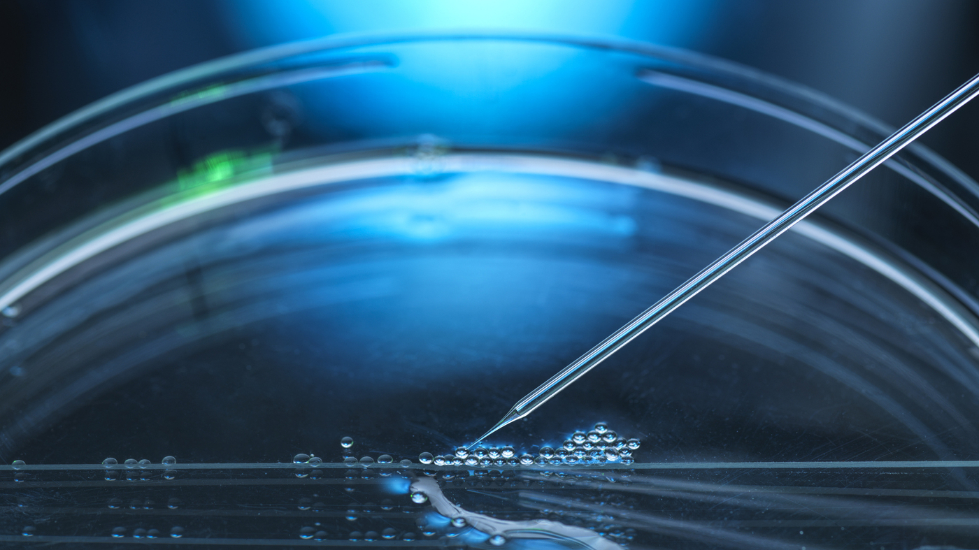 Featured image for Navigating Cancer Treatment Options: From Prevention to Experimental Therapies.