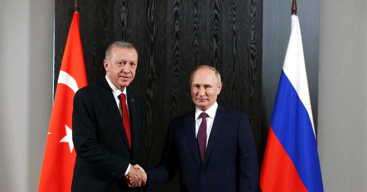 Turkey's EU Bid: Kremlin Warns of Illusions as Erdogan Tilts Away from Putin