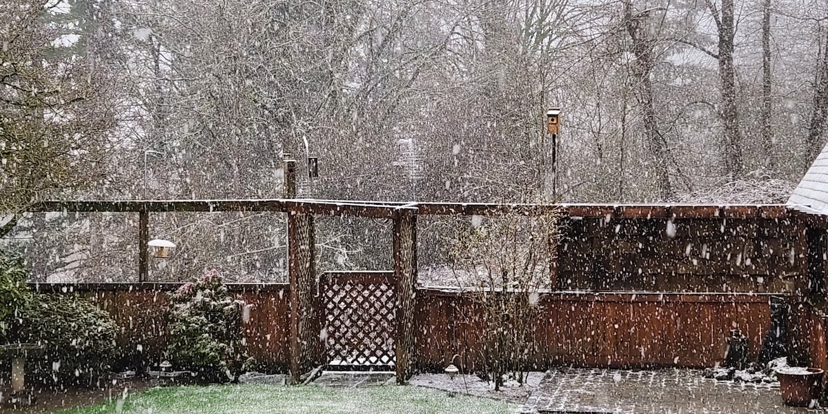 Featured image for "Intense Winter Weather: Snowfall and Rain Expected Across Western States"