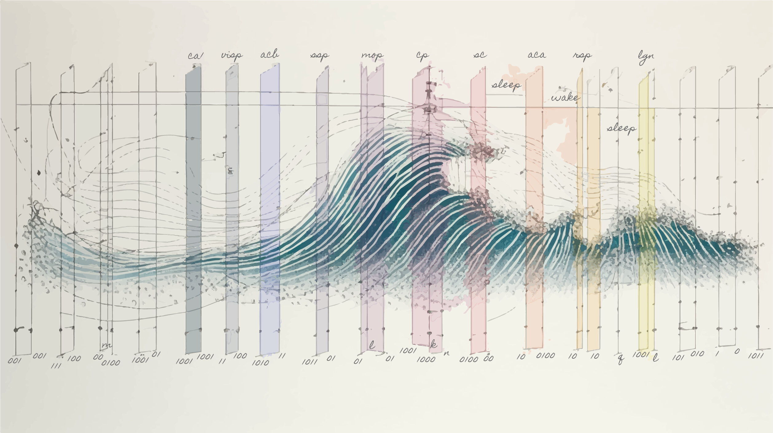 "Brain Micro-Naps: Awake and Asleep States Coexist"