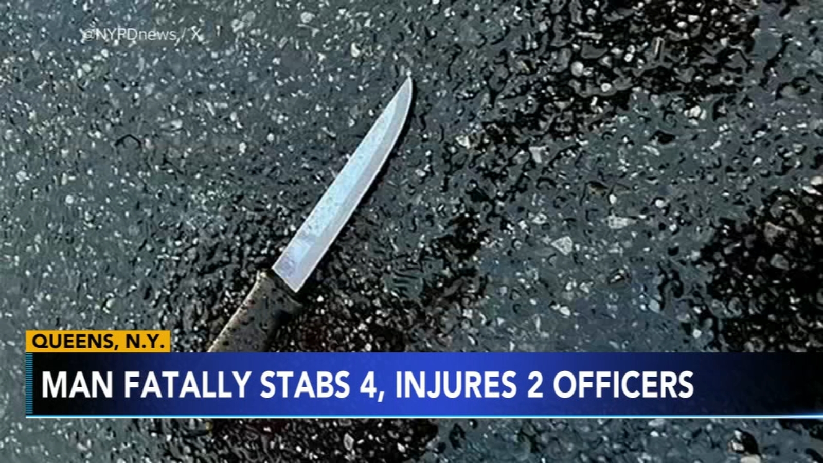 Deadly Stabbing Rampage in Queens Leaves 5 Dead, Including 2 Children and 2 NYPD Officers