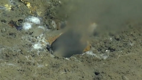 Featured image for Mysterious Ocean Floor Leak off Oregon Raises Concerns for 'The Big One'