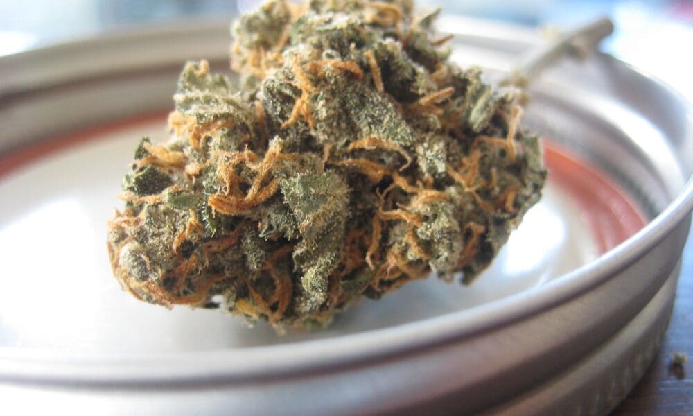 Featured image for "Minnesota Sets Clear Path for Legalizing Marijuana"