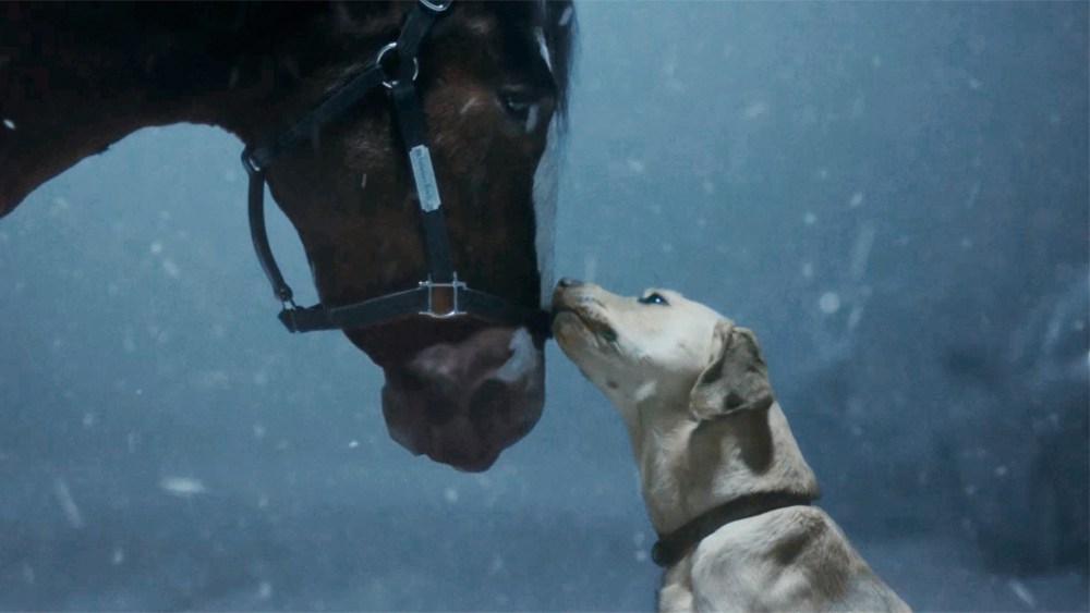 Featured image for "Budweiser's New National Ad Features the Return of the Clydesdales to the Super Bowl"