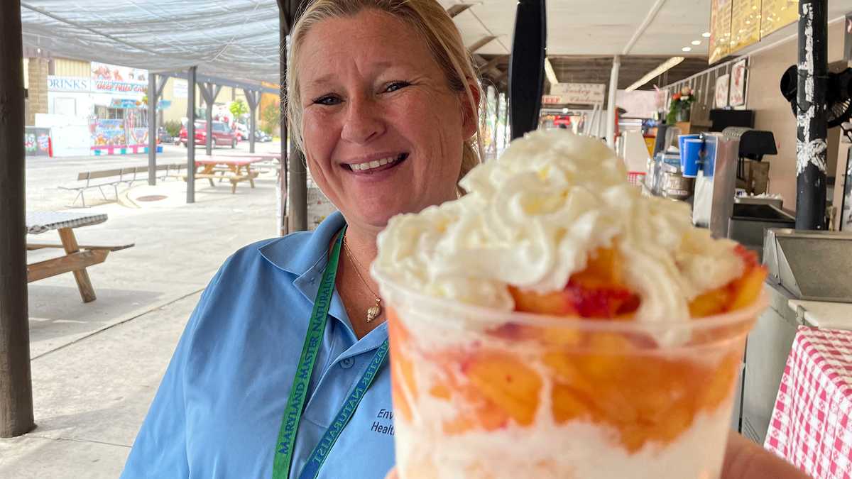 Featured image for "Highlights of the 142nd Maryland State Fair and Weekend Events"