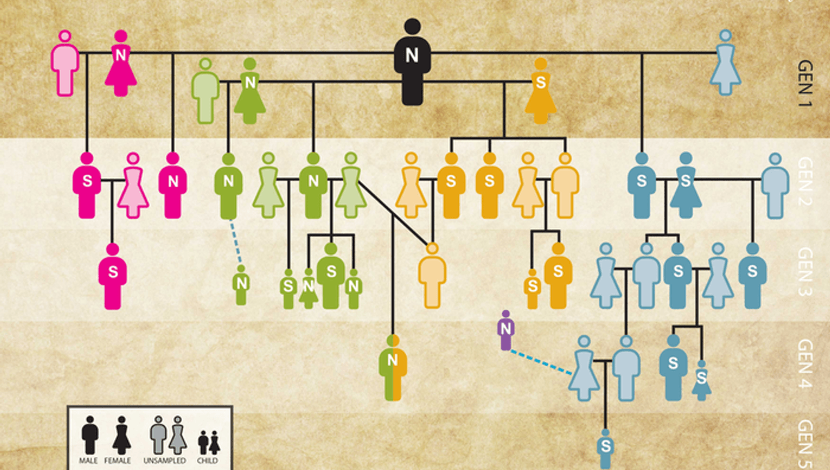 Featured image for Unveiling the World's Oldest Family Tree: Neolithic DNA Analysis