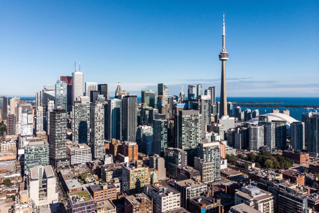 Toronto's Mayoral Race: Over 100 Candidates Compete, Including a Canine Contender.