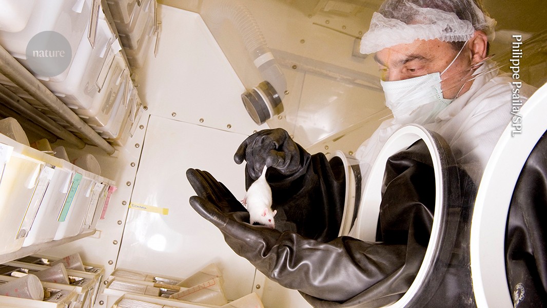 Featured image for Rethinking Animal Testing in Biomedical Research