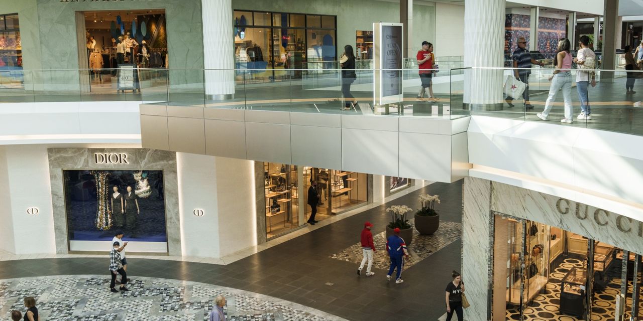 "From Doubt to Confidence: Mall Owner's Bold Investment in America's Luxury Shopping Centers"