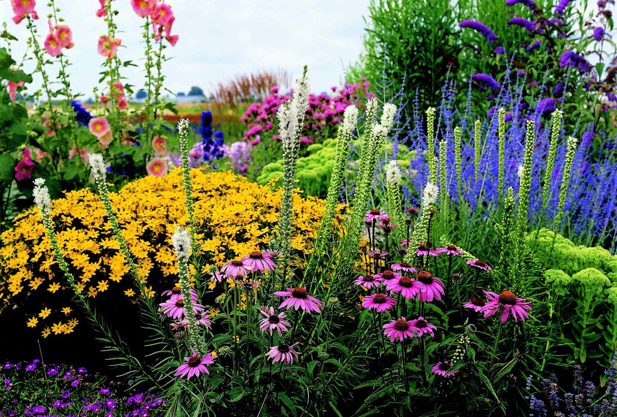 Featured image for Top Tips to Combat Spring and Summer Allergies