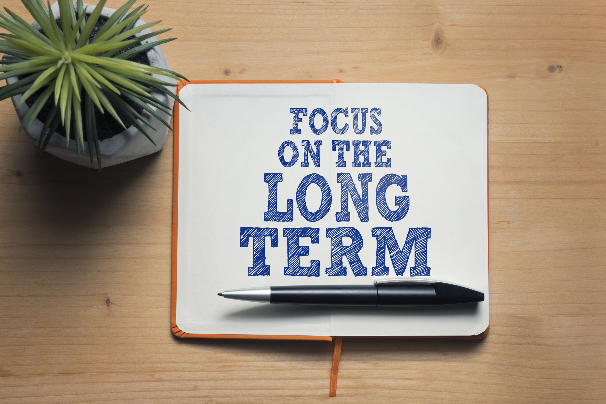 "Top Dividend Stocks for Long-Term Portfolio Growth and High Monthly Returns"