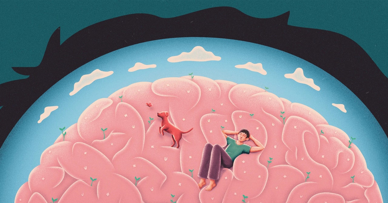 Featured image for "The Neuroscience of Idle Minds: What Happens in Your Brain When You're Not Occupied"