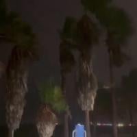 Florida Braces for Strong Storm with Heavy Rain and Gusty Winds
