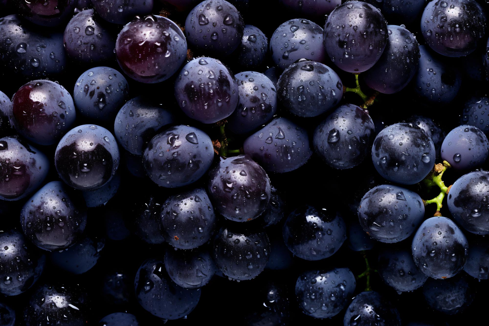 Featured image for Grapes: The Overlooked Superfood That Boosts Hydration and May Protect Against Cancer