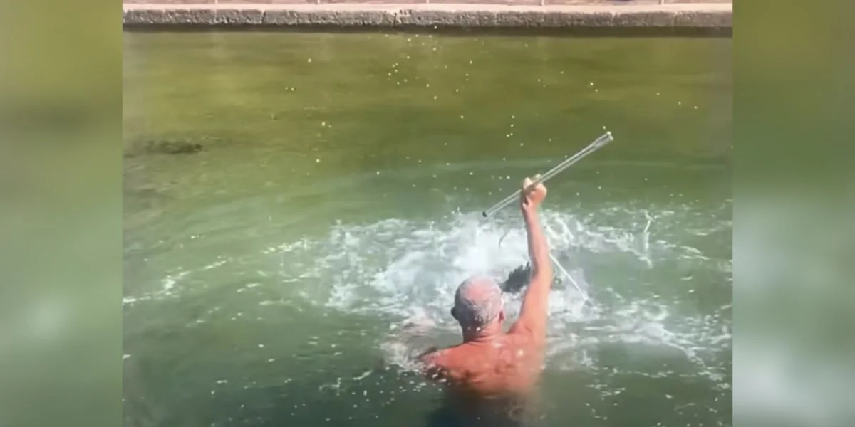 Featured image for Surfer Rescues 'Puppy Dog of the Ocean' from Tidal Pool
