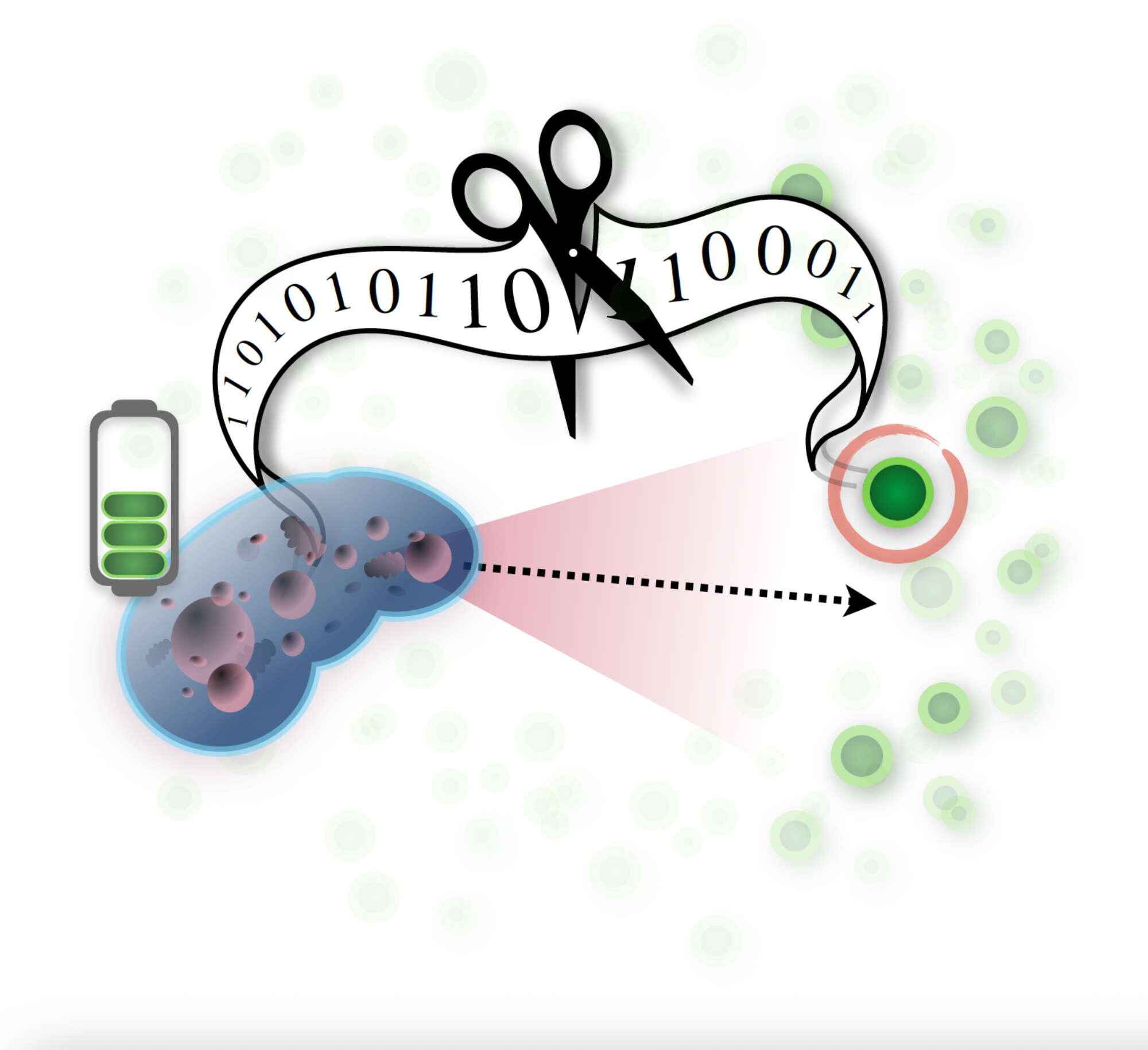 Featured image for "Survival hinges on the critical role of information in realistic models, say researchers"