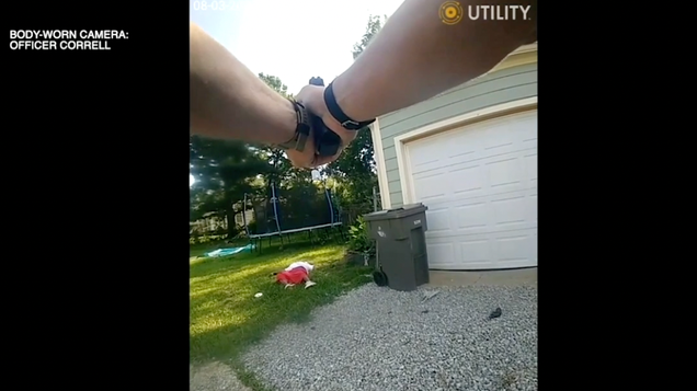 "Unanswered Questions: The Tragic Police Shooting of a Black Man in Indiana"