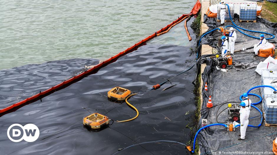 Featured image for EU Achieves Landmark Agreement on Biodiversity Restoration and Climate Change Action