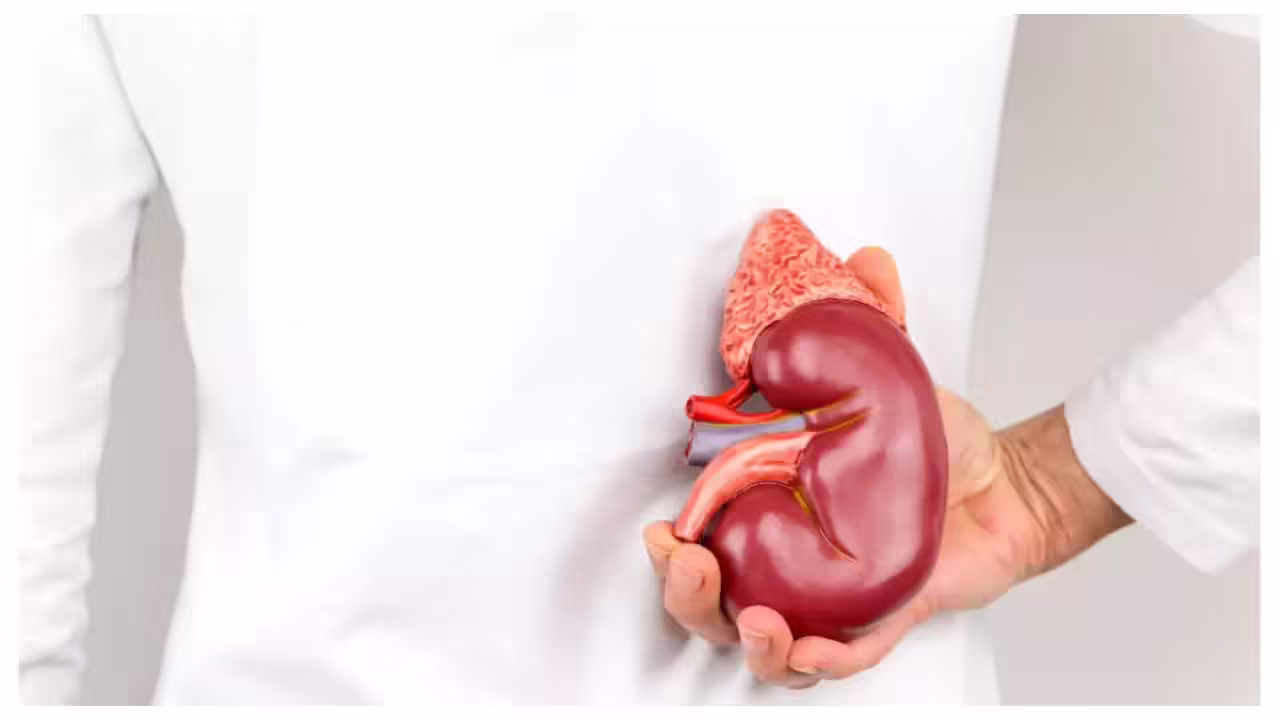 Featured image for Top Experts Warn Against Common Habits That Harm Kidney Health