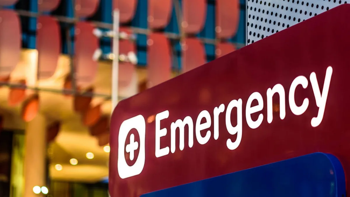 Featured image for Officials Warn of Rising ER Visits Due to Insect Bites