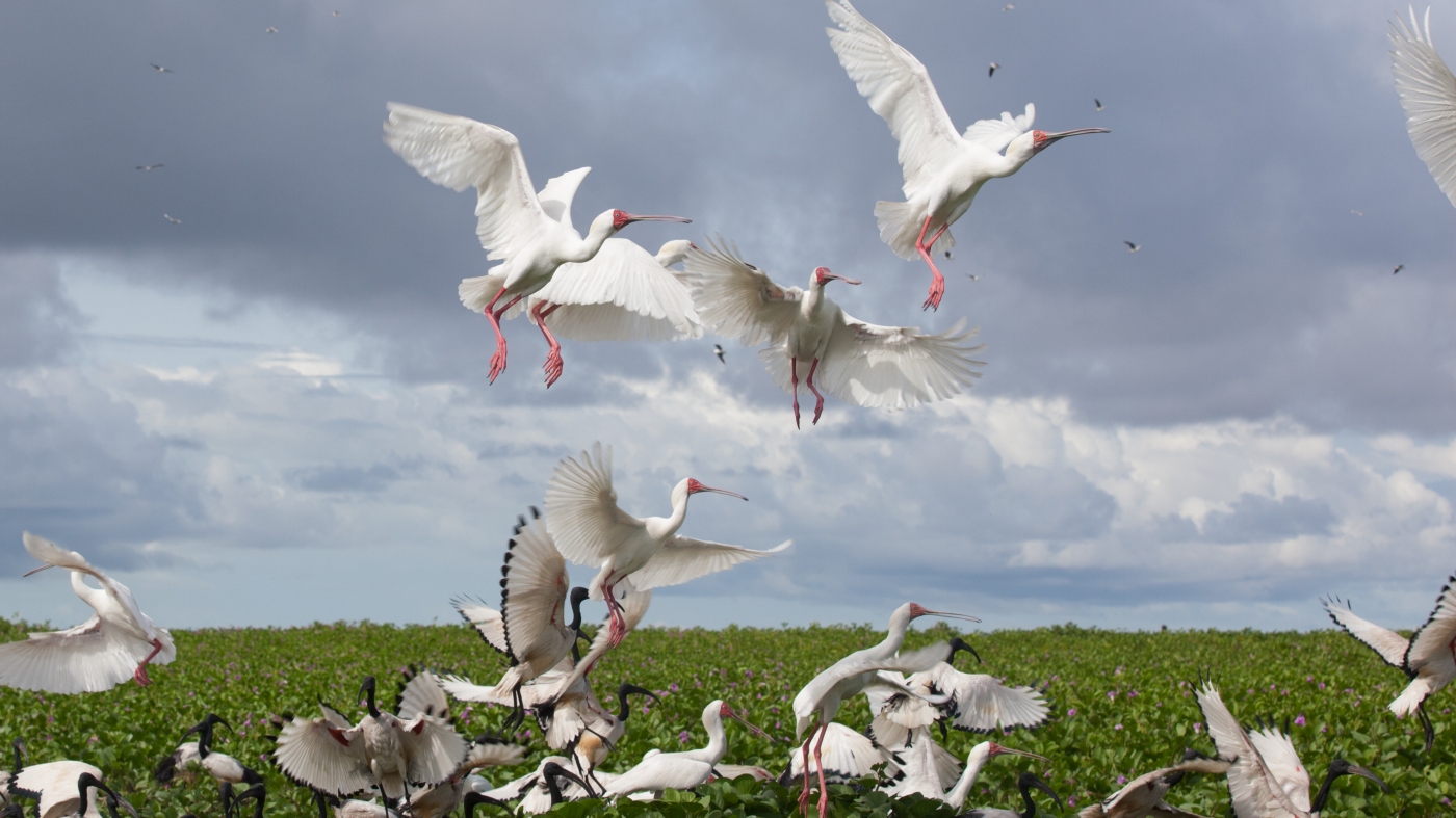 Featured image for Recent Additions to UNESCO World Heritage List Highlighting Global Cultural and Natural Treasures