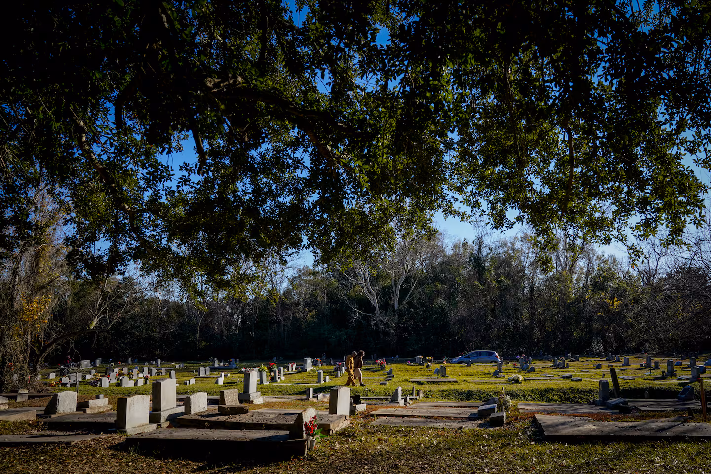 Featured image for Rising Premature Mortality and Medicare Disparities in the US