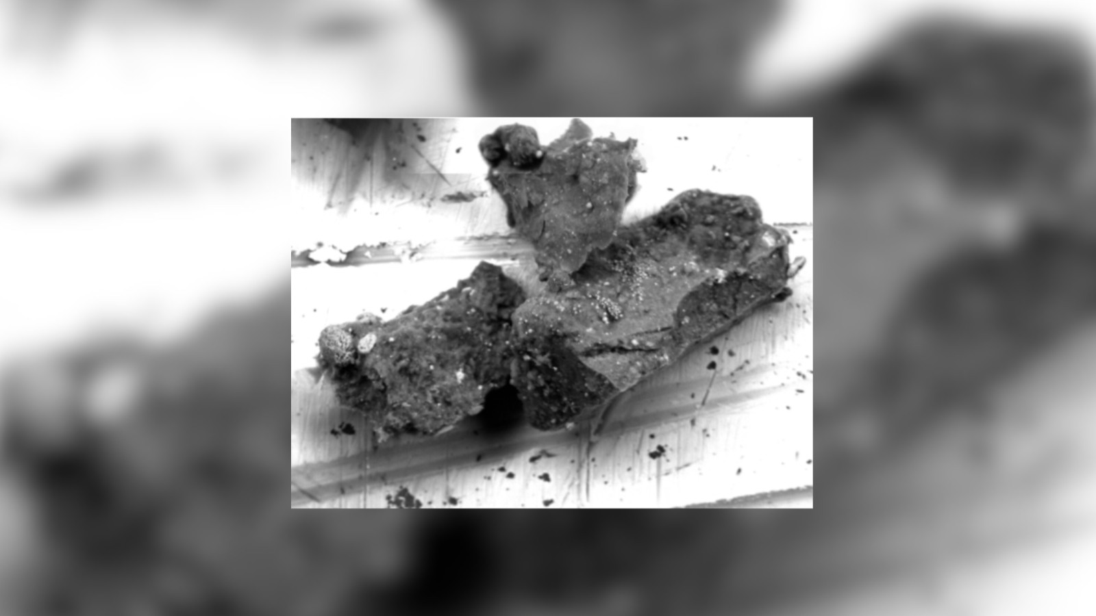 Featured image for Rare Mineral Discovery on Asteroid Ryugu Could Rewrite Space History