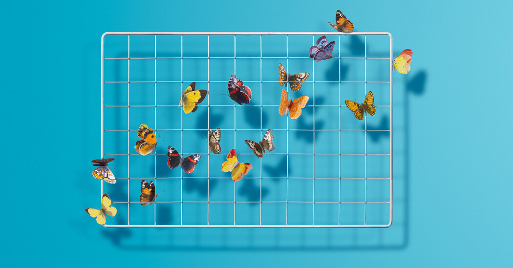 Featured image for "2023: The Year Economic Predictions Flipped, Defying Recession and Inflation Fears"