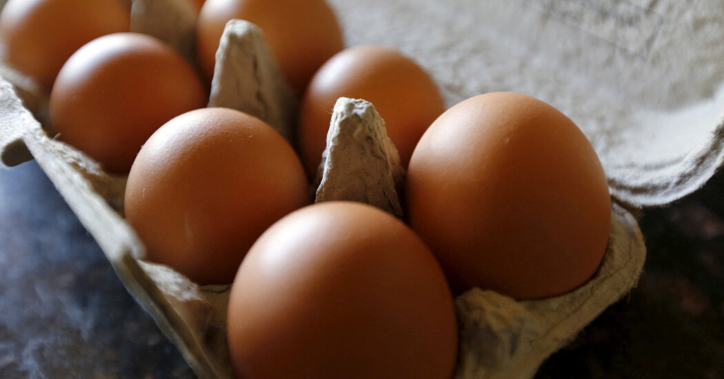 Major Salmonella Egg Outbreak Sickens Dozens Across Multiple States