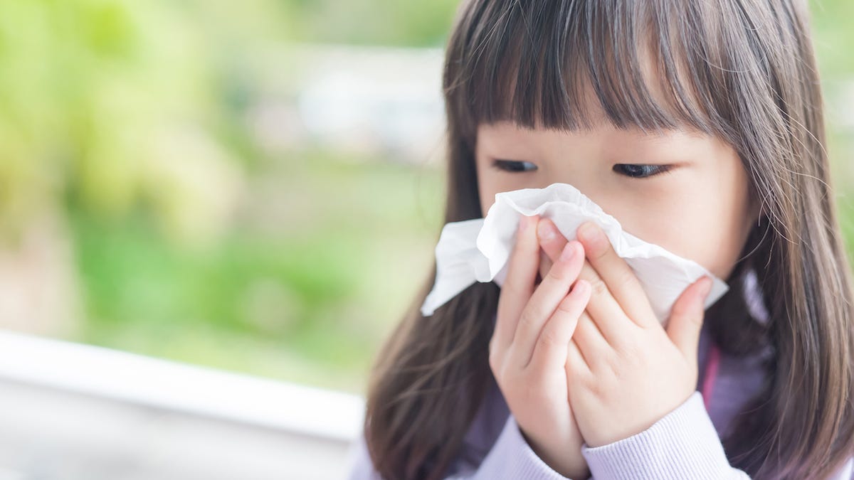 "Spring Season Sees Flu and Norovirus Take Center Stage, Surpassing COVID-19"