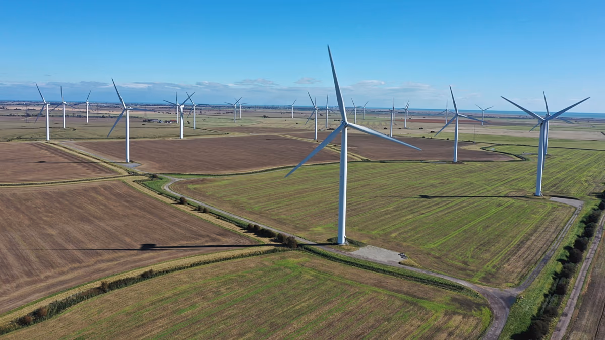 Featured image for Billions Lost as Wind Farms Shut Down in Britain
