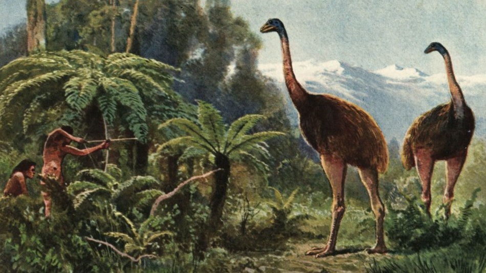 Featured image for De-Extinction Company Aims to Bring Back the 12-Foot Moa Within a Decade