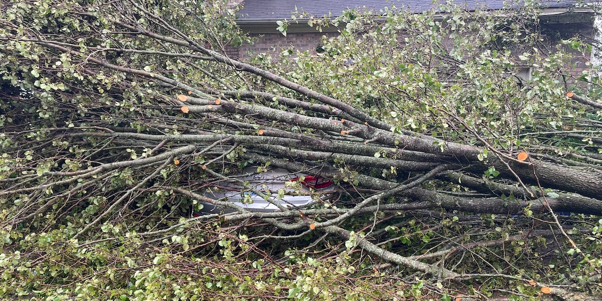 Featured image for Severe Storms and Tornadoes Ravage Kentucky, Resulting in Fatalities and State of Emergency