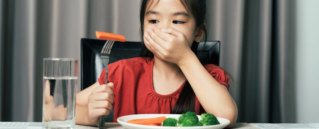 Featured image for Brain Differences Found in Children with Restrictive Eating Disorders