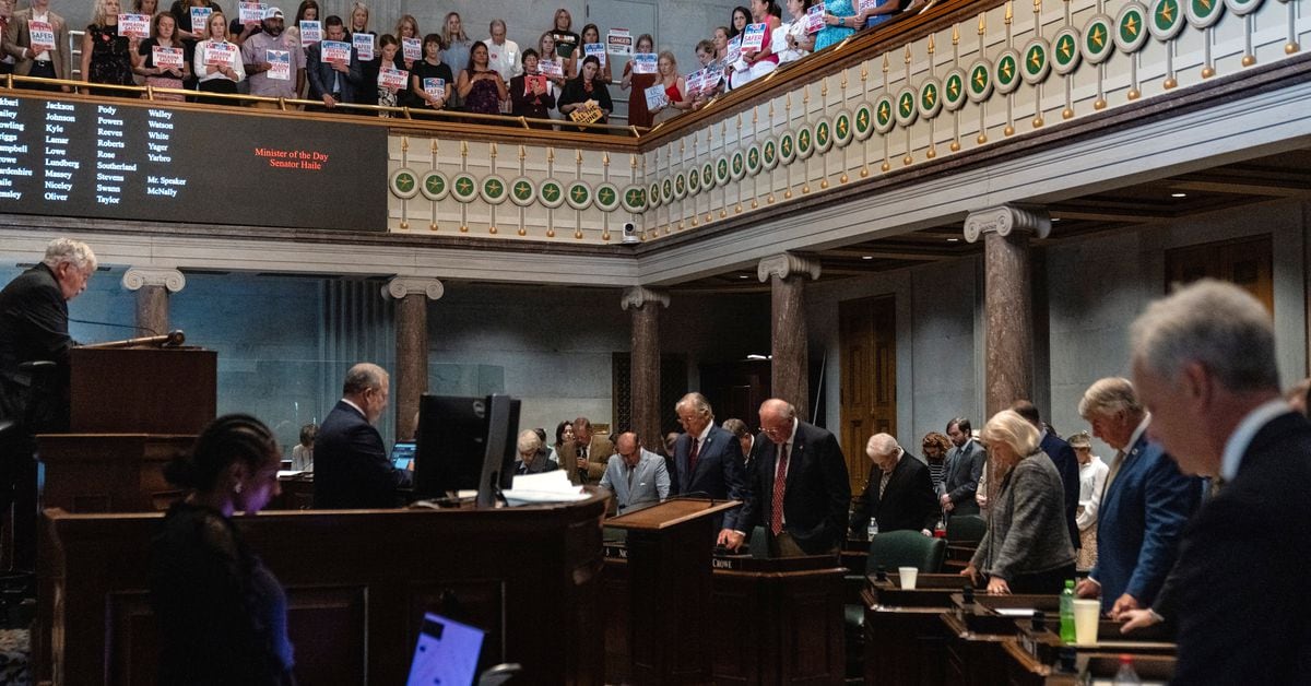 Tennessee's Gun Law Push Ends in Scuffle and Drama