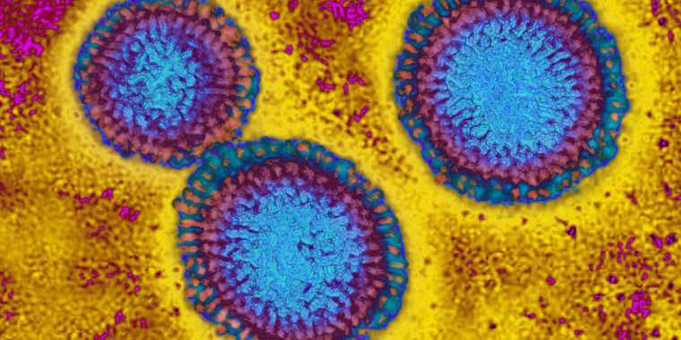 Featured image for WHO Advises Removing Vanished Flu Strain from Future Vaccines