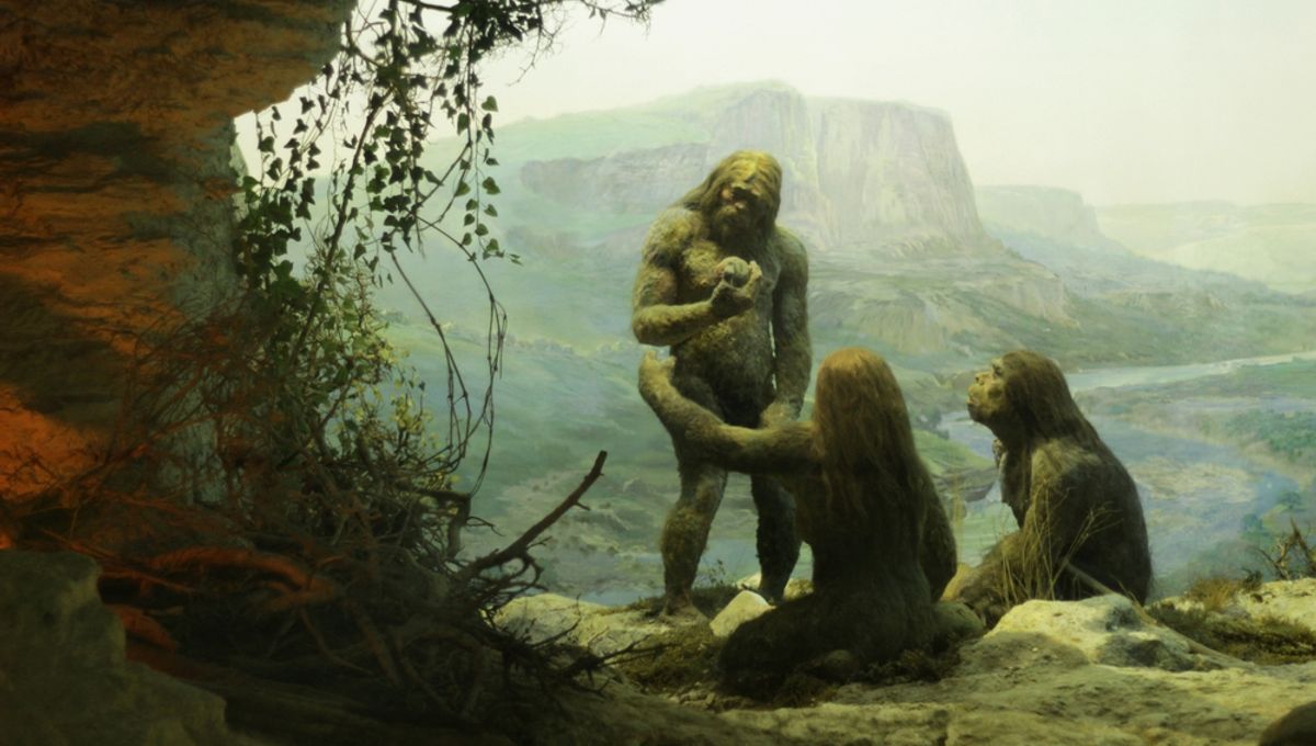 Featured image for Revealing the Origins of Human-Neanderthal Interactions