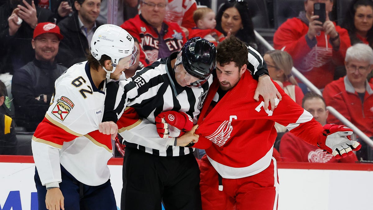 Featured image for "Panthers Secure 3-2 Shootout Win Over Red Wings in Rematch"