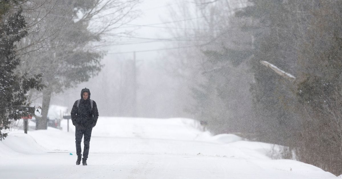 Featured image for "Reverse Immigration: Canada's Soaring Cost of Living Drives Out Migrants"