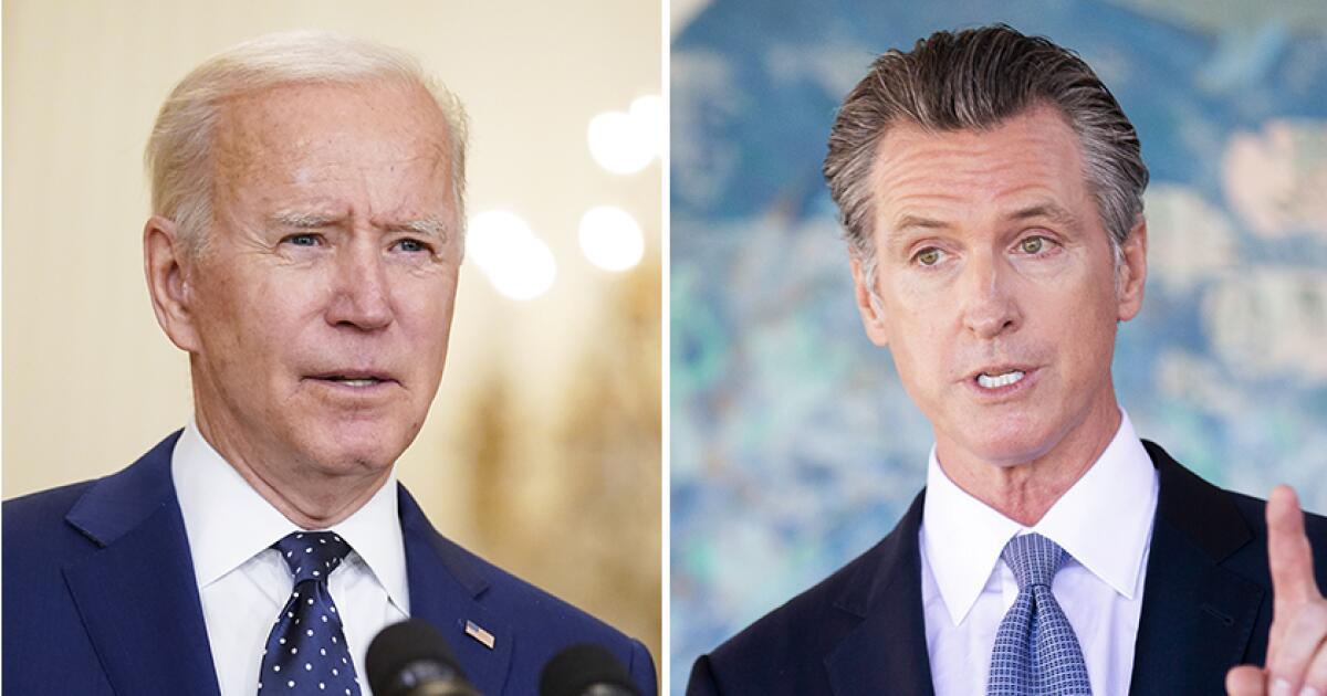 "Unlikelihood of Replacing Biden with Newsom or a 'Mythical Perfect Democrat'"