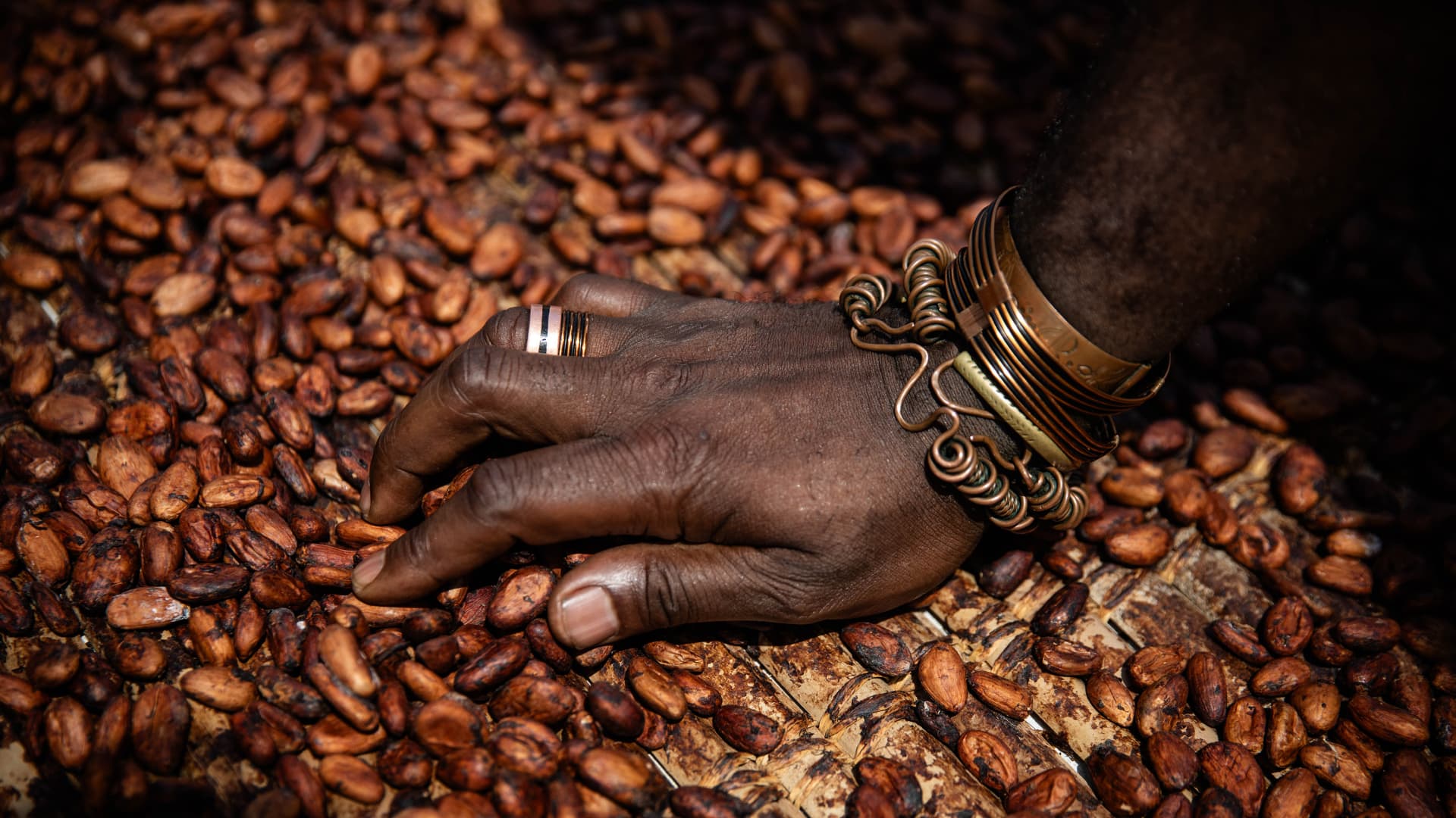 Featured image for "Cocoa Prices Soar to Historic Highs Due to Weather-Related Crop Shortages"