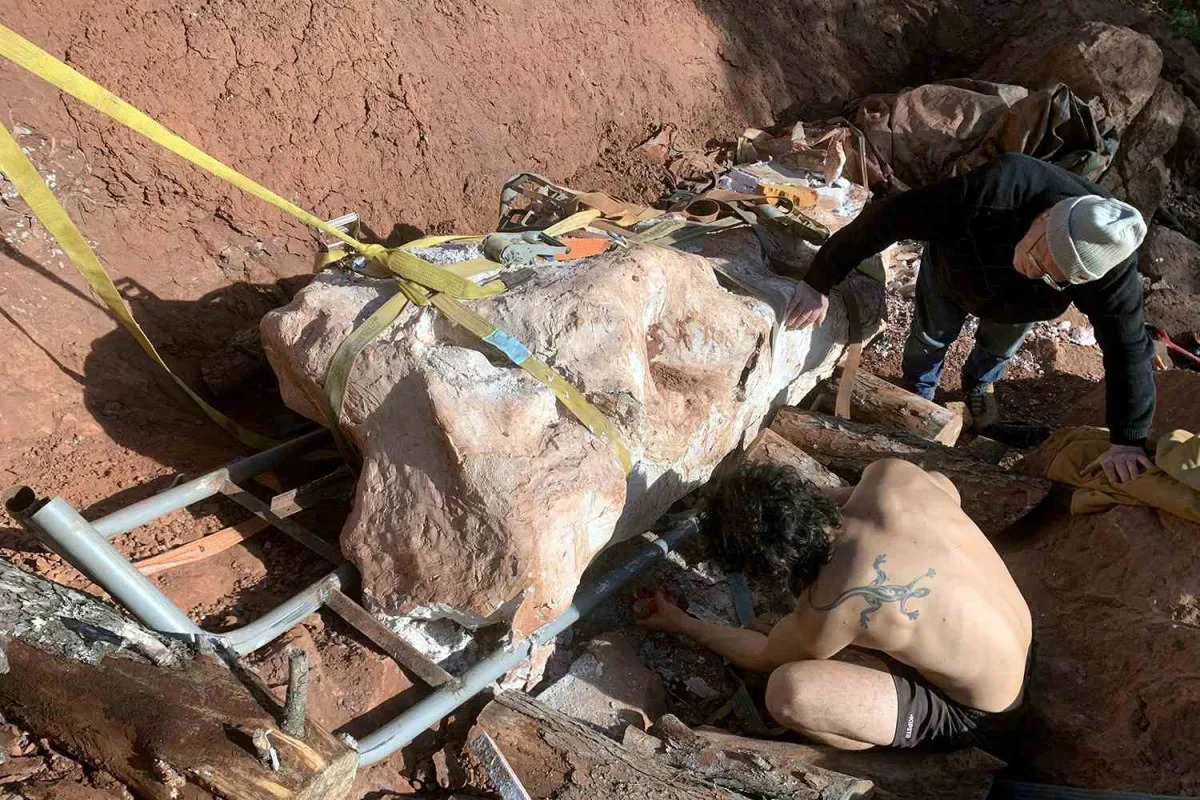 Featured image for "Dog Walker Discovers 70 Million-Year-Old Dinosaur Skeleton in Secret Find"