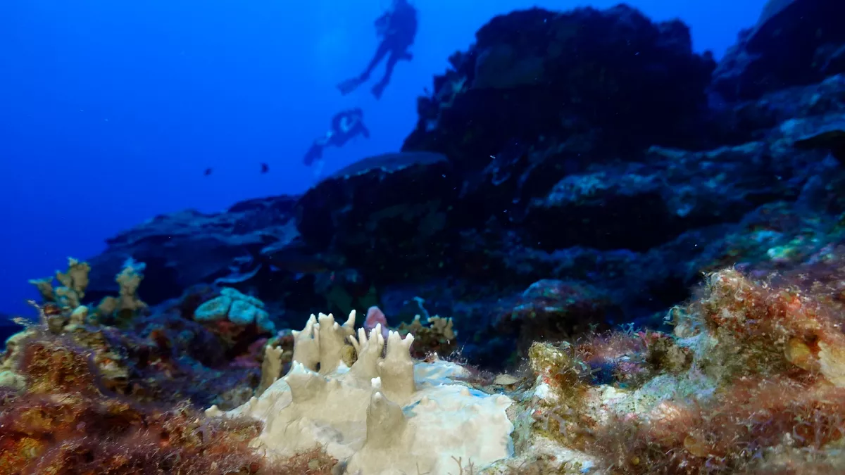 Featured image for Scientists Warn of Potential Permanent Shift in Earth's Oceans Due to Rising Heat