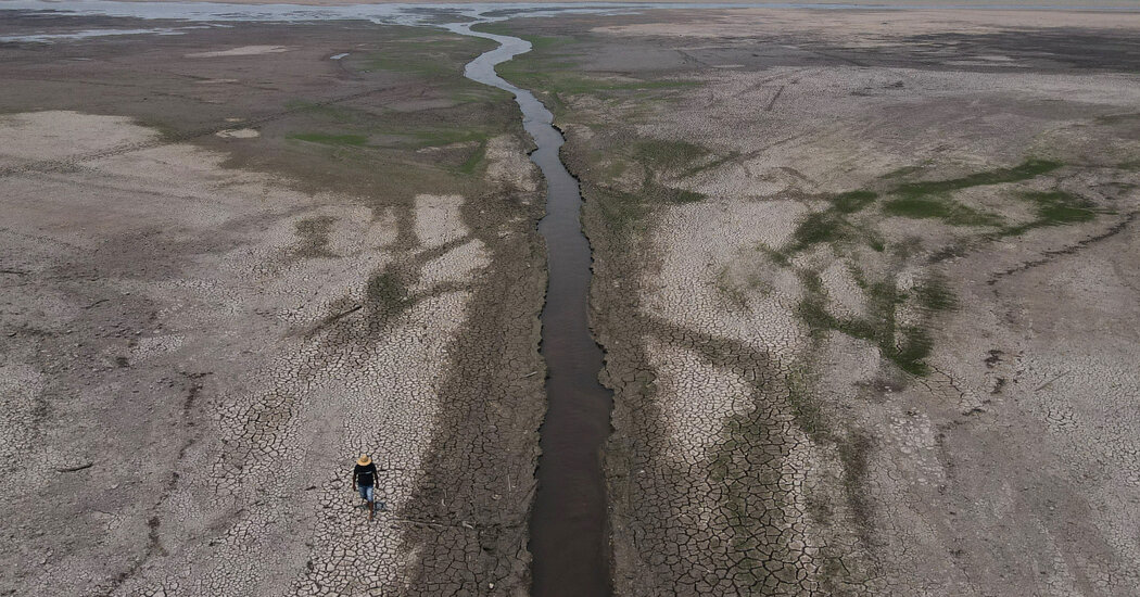 Amazon Rainforest Faces Devastating Drought and Unprecedented Wildfires