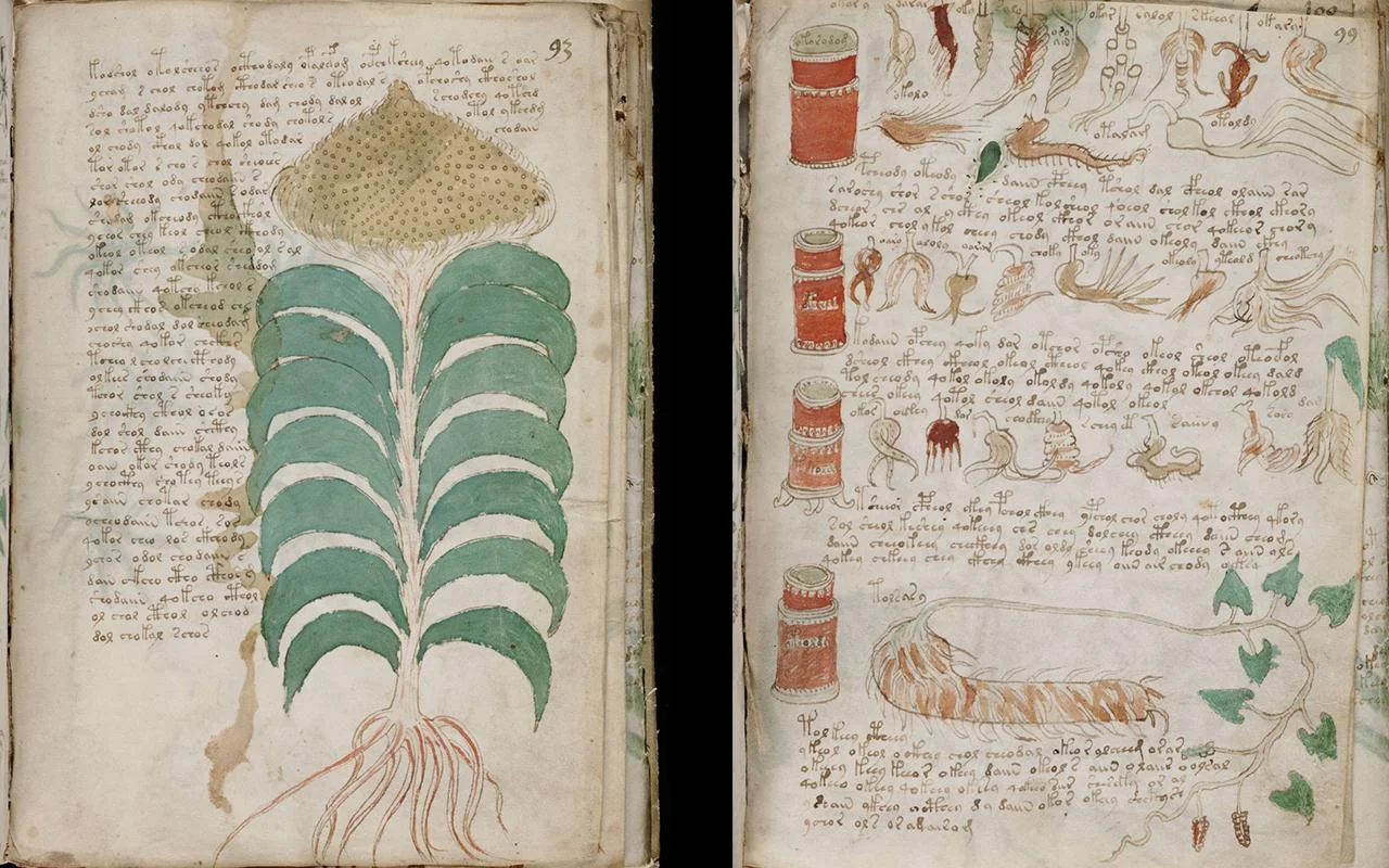 Featured image for Study Indicates Voynich Manuscript Could Be a Medieval Cipher