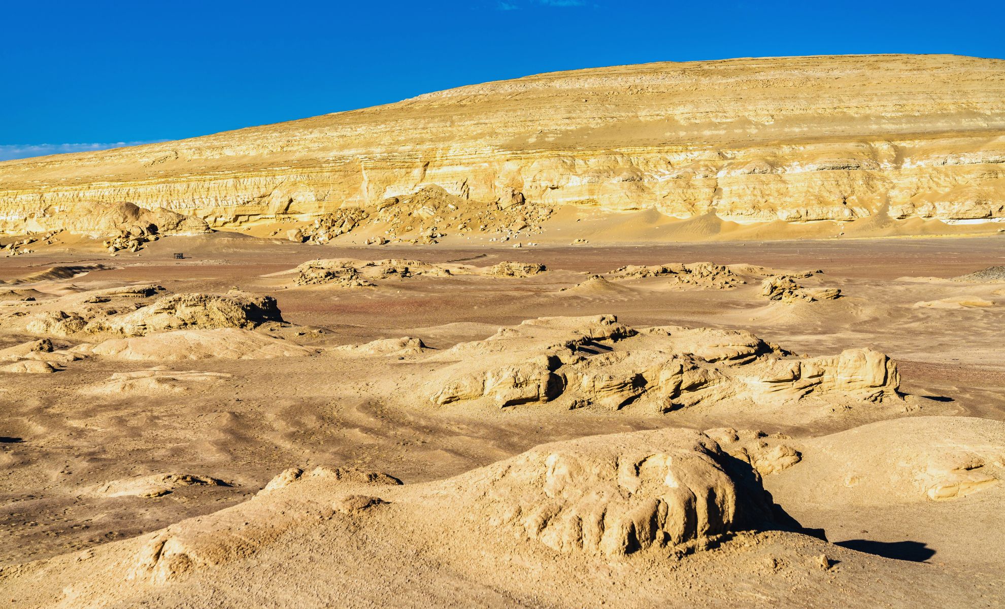 Featured image for Decoding the Ancient Ocean Crisis That Wiped Out Marine Life