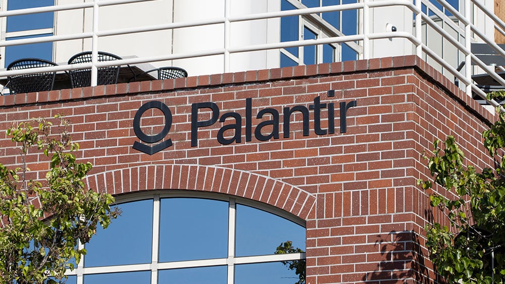 Palantir's AI Potential: Investment Risks and Rewards