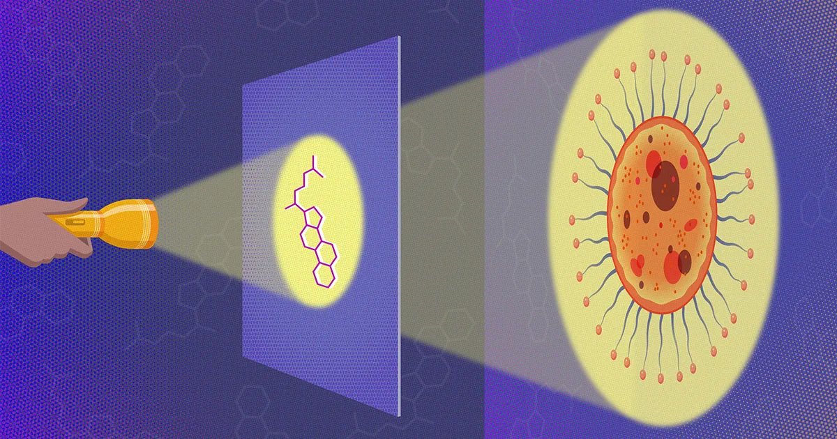 Featured image for Unveiling an Ancient World through Fossilized Molecules