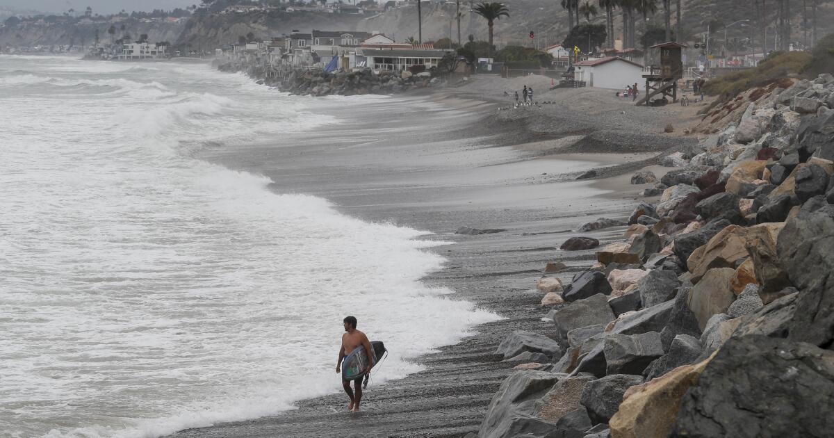 Featured image for Aggressive Shark Forces San Clemente Beach Closures