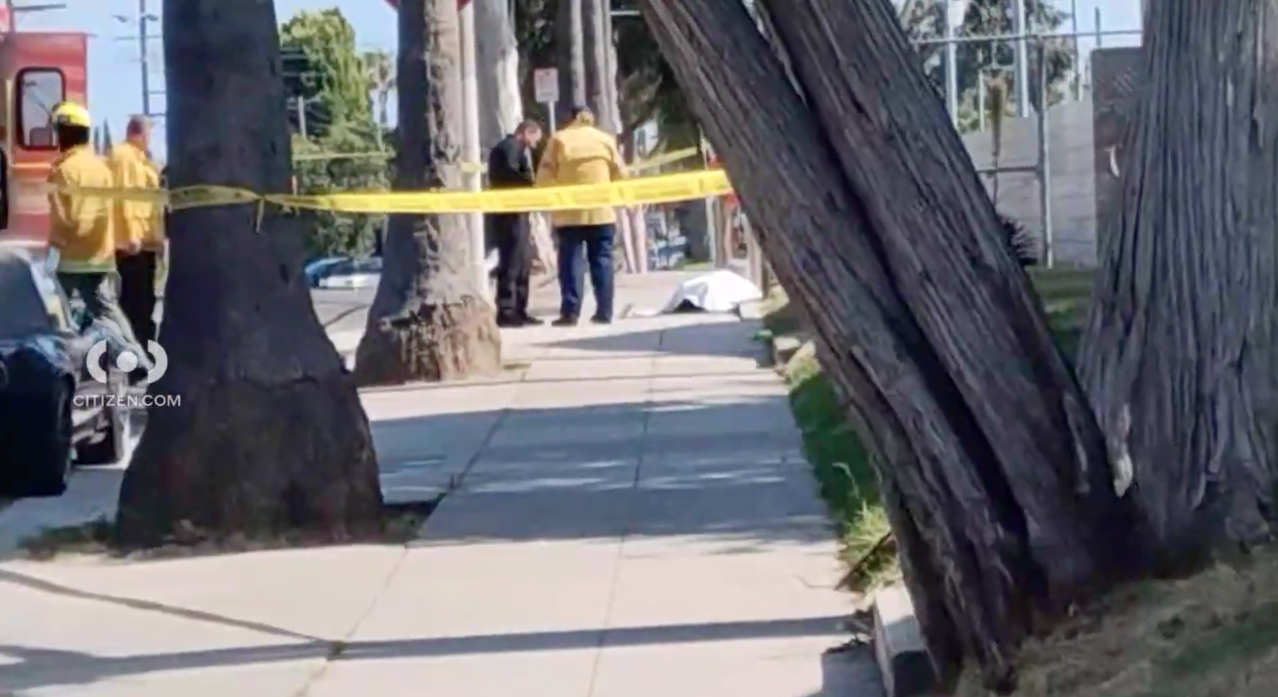"Double Fatal Shooting in San Pedro Leaves Suspect at Large"